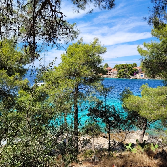 Meet your Posher, Vera - Picture 7 of 15